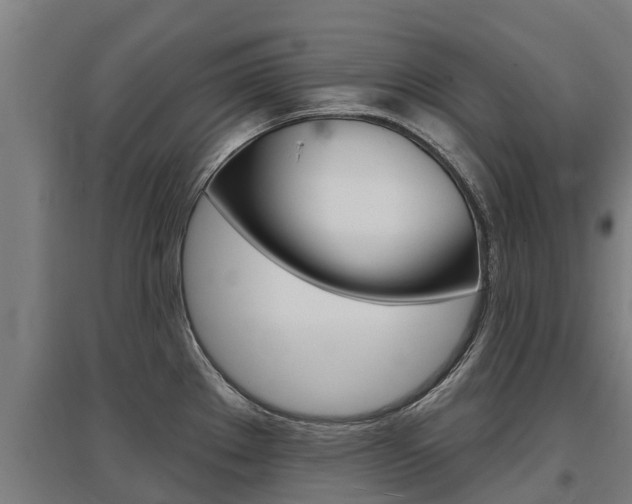 X0000097591289200802290741