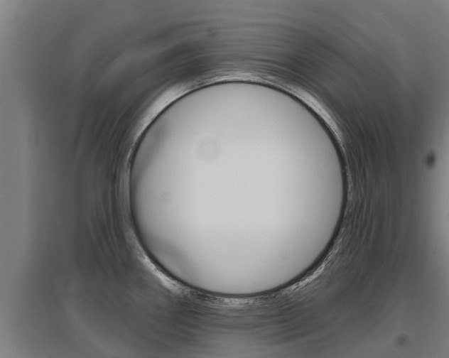 X0000097591290200802290741
