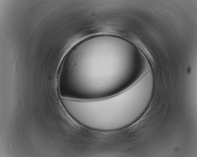 X0000097591292200802290741