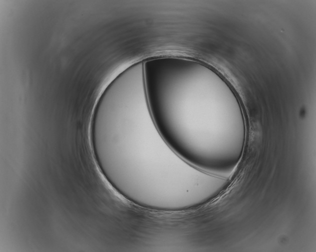 X0000097591293200802290741