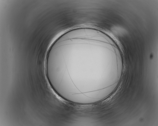X0000097591294200802290741