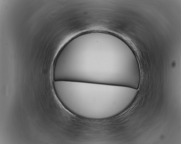 X0000097591295200802290741