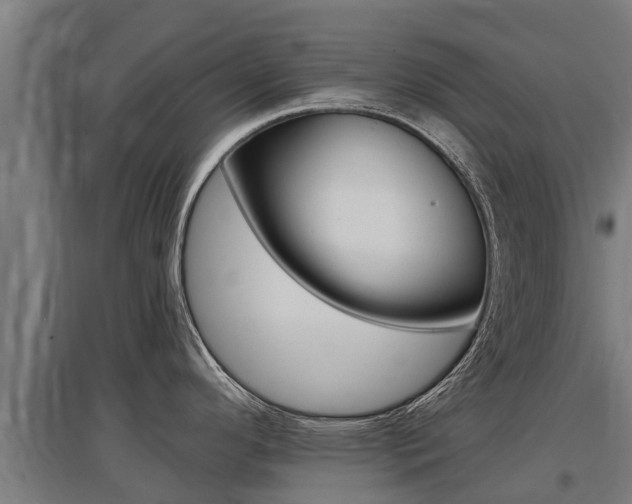 X0000097591296200802290741