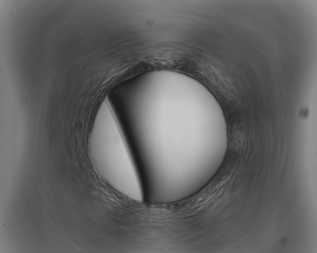 X0000097591297200802290740