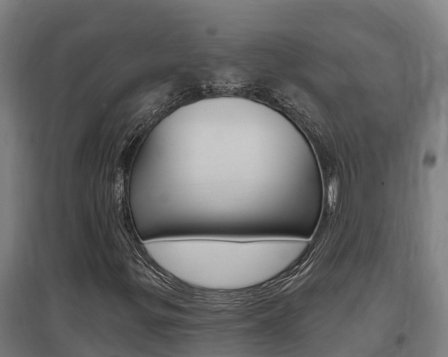 X0000097591299200802290740