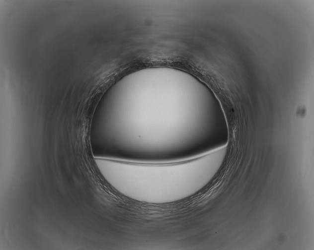 X0000097591300200802290740