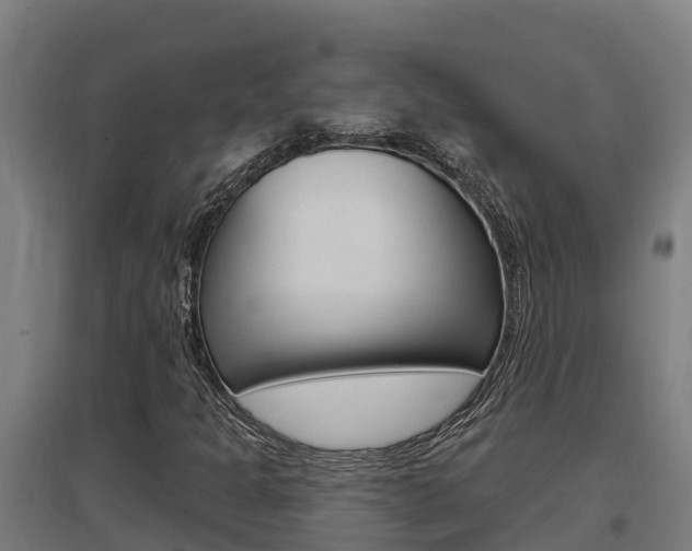 X0000097591301200802290740