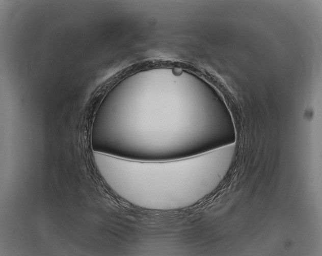 X0000097591303200802290740