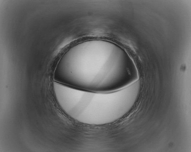 X0000097591304200802290740