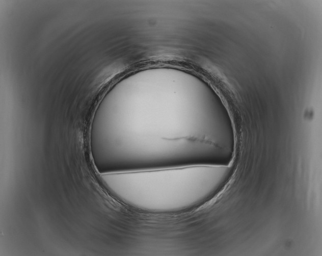 X0000097591305200802290740