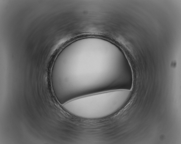 X0000097591307200802290740