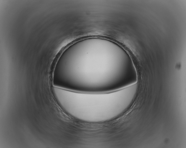 X0000097591308200802290740