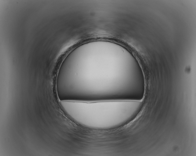 X0000097591309200802290740