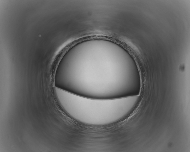 X0000097591310200802290740