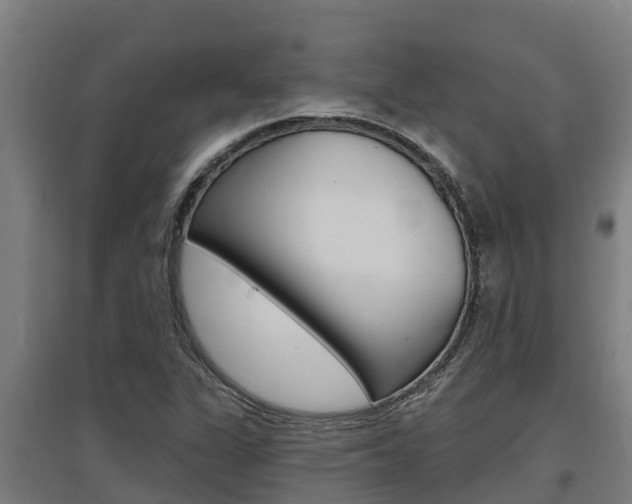 X0000097591311200802290740
