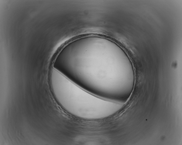 X0000097591312200802290740