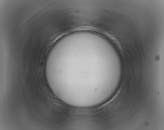 X0000097591313200802290740