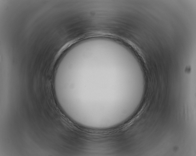 X0000097591314200802290740