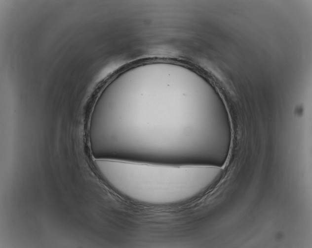 X0000097591315200802290740