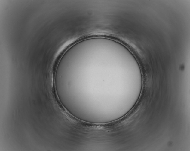 X0000097591317200802290740