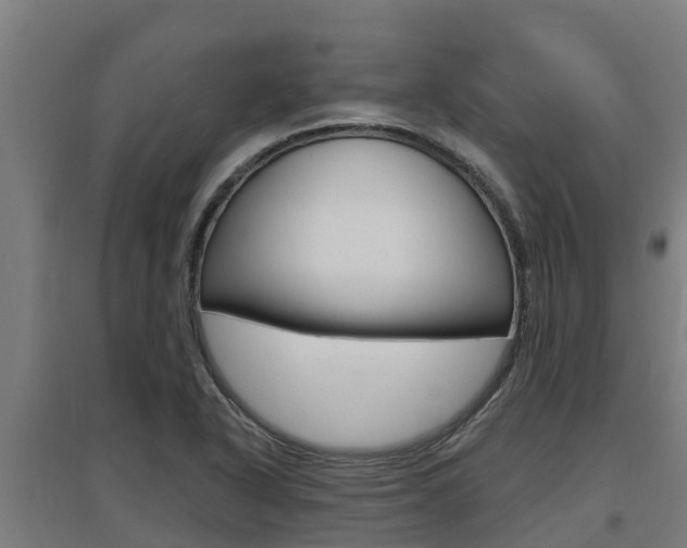 X0000097591318200802290740