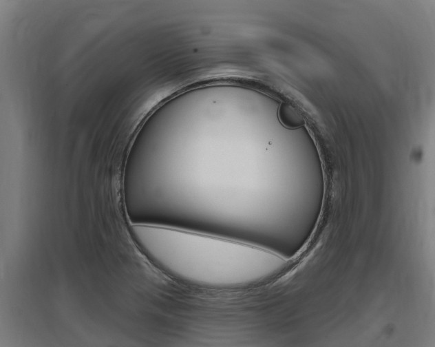X0000097591321200802290740