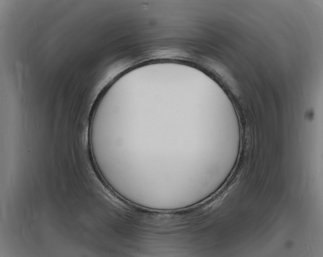 X0000097591322200802290740