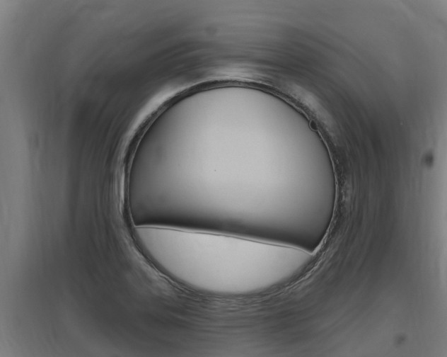 X0000097591323200802290741