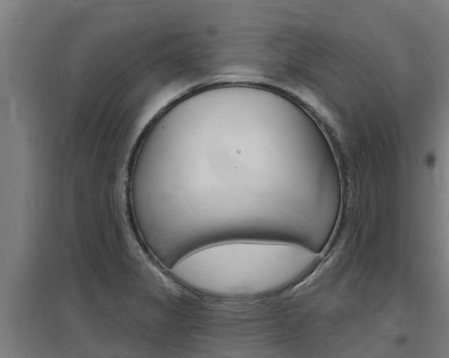X0000097591325200802290741
