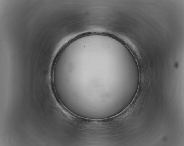 X0000097591327200802290741