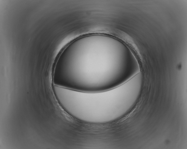 X0000097591328200802290741