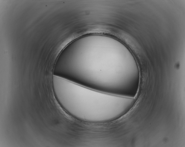 X0000097591329200802290741