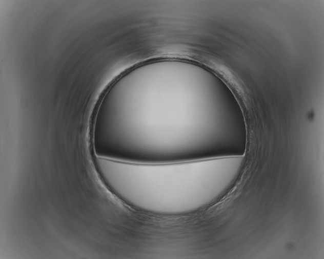 X0000097591331200802290741