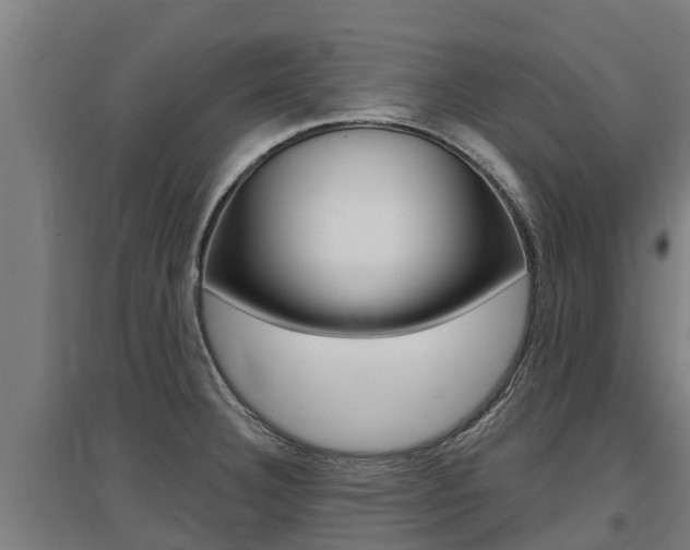 X0000097591332200802290741