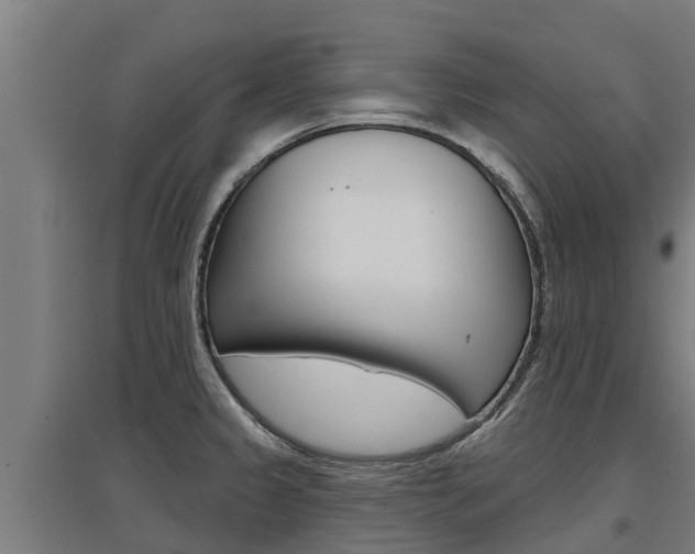 X0000097591333200802290741