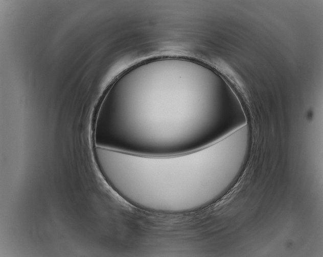 X0000097591334200802290741