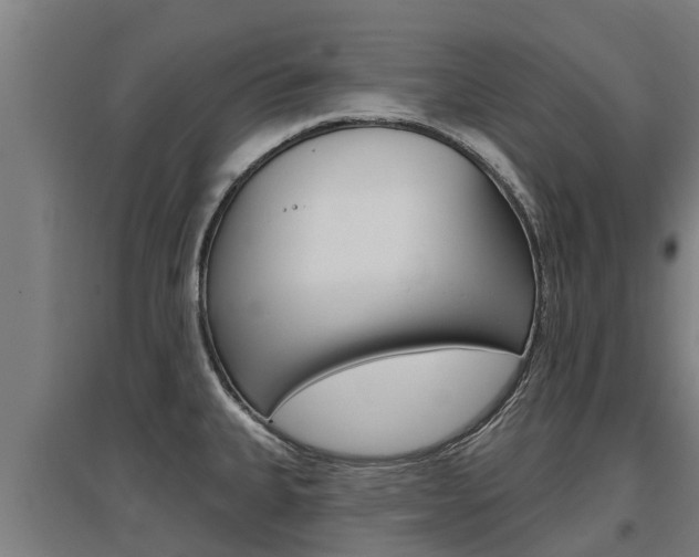 X0000097591335200802290741