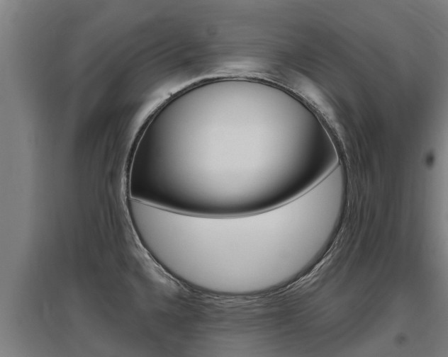 X0000097591336200802290741