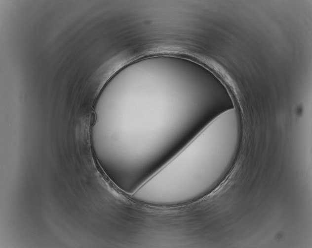 X0000097591337200802290741
