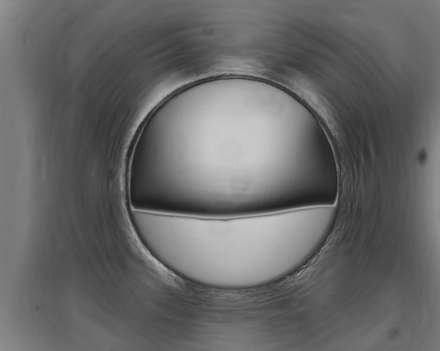 X0000097591339200802290741