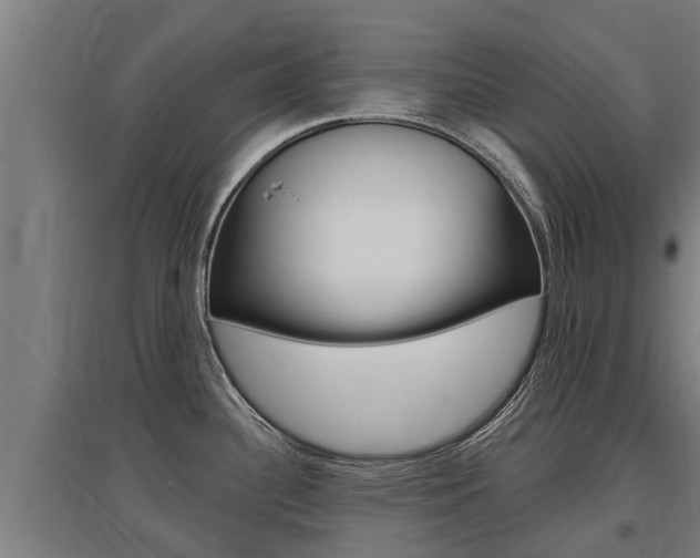 X0000097591340200802290741