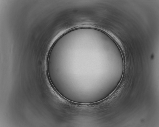 X0000097591341200802290741