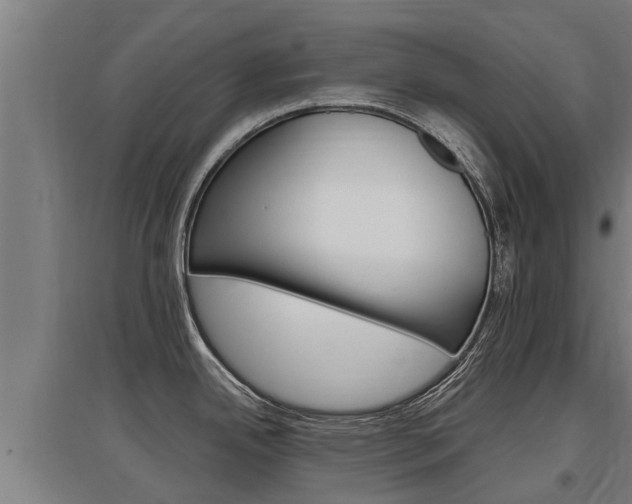 X0000097591342200802290741