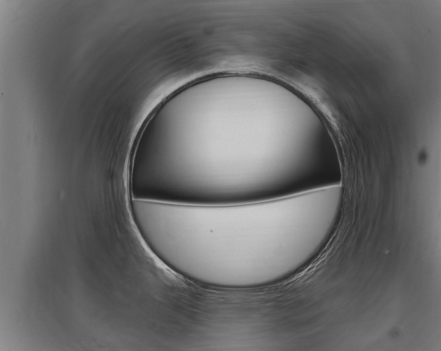 X0000097591343200802290741