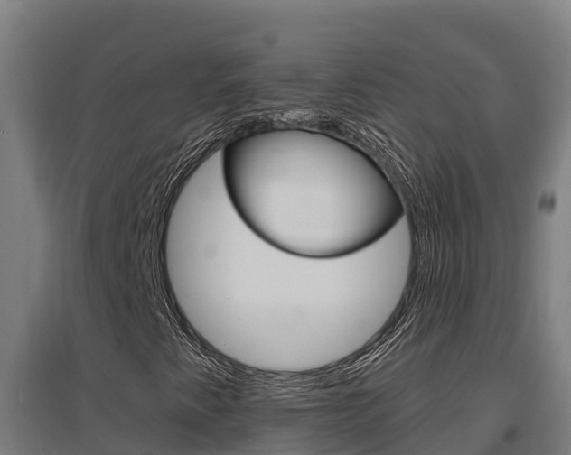 X0000097591345200802290740