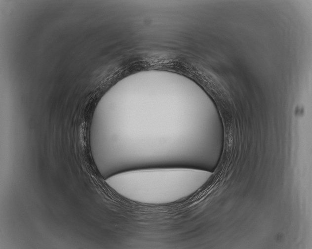 X0000097591346200802290740