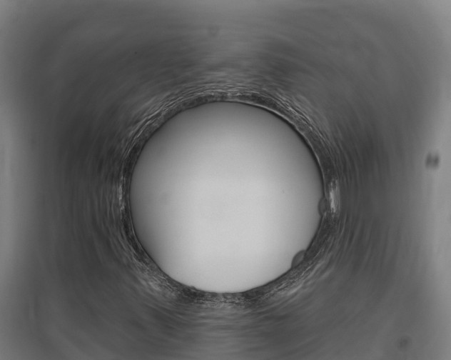 X0000097591347200802290740