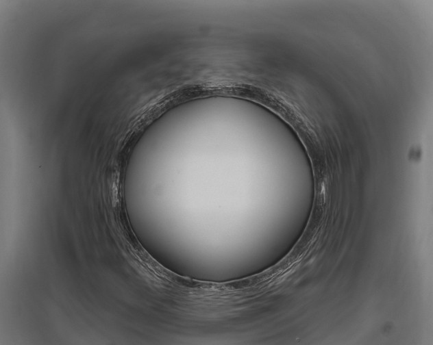 X0000097591348200802290740