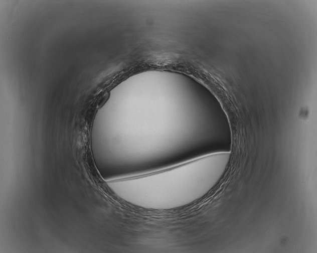 X0000097591349200802290740