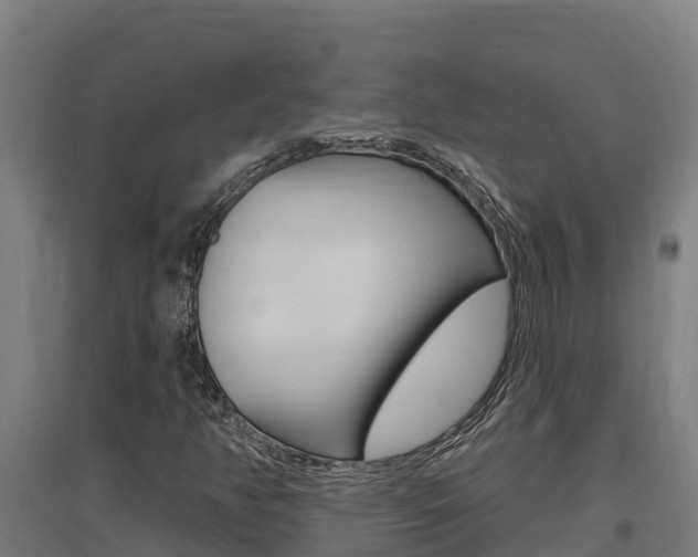 X0000097591350200802290740